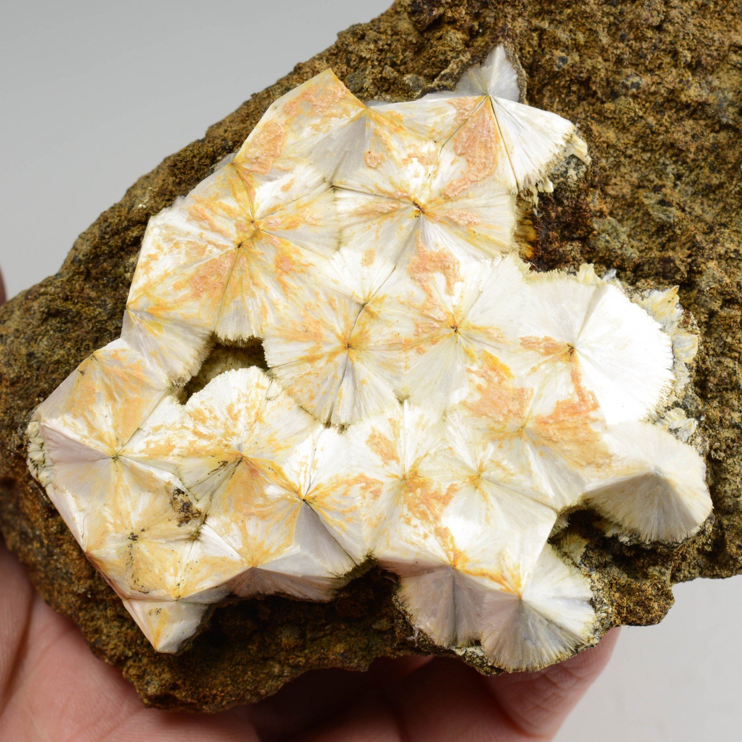 Scolecite - Soriana quarry, Estopiñán del Castillo, Aragon, Spain