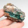 Libethénite and pseudomalachite - Vila Viçosa, Évora district, Portugal