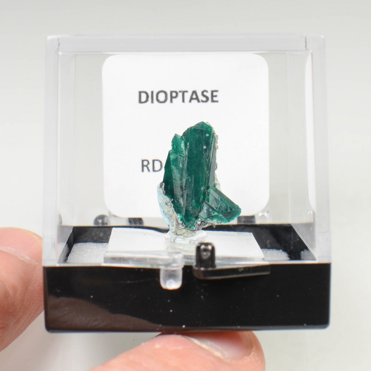 Dioptase - Brazzaville, Democratic Republic of Congo