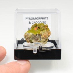 Pyromorphite and crocoite - Nontron, Dordogne, France