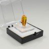 Ambre avec insecte