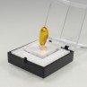 Ambre avec insecte