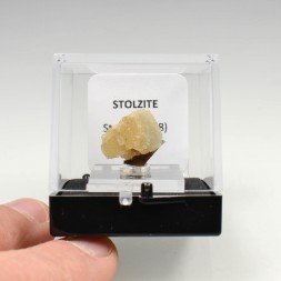 Stolzite - Mine de Sainte Lucie, Lozère, France