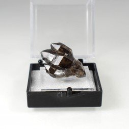 Quartz fumé - Mooralla, Etat du Victoria, Australie