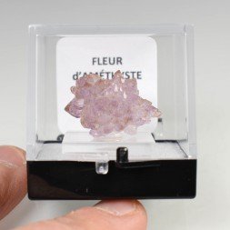 Améthyste - Mine Kakamunurle, Karur, Inde