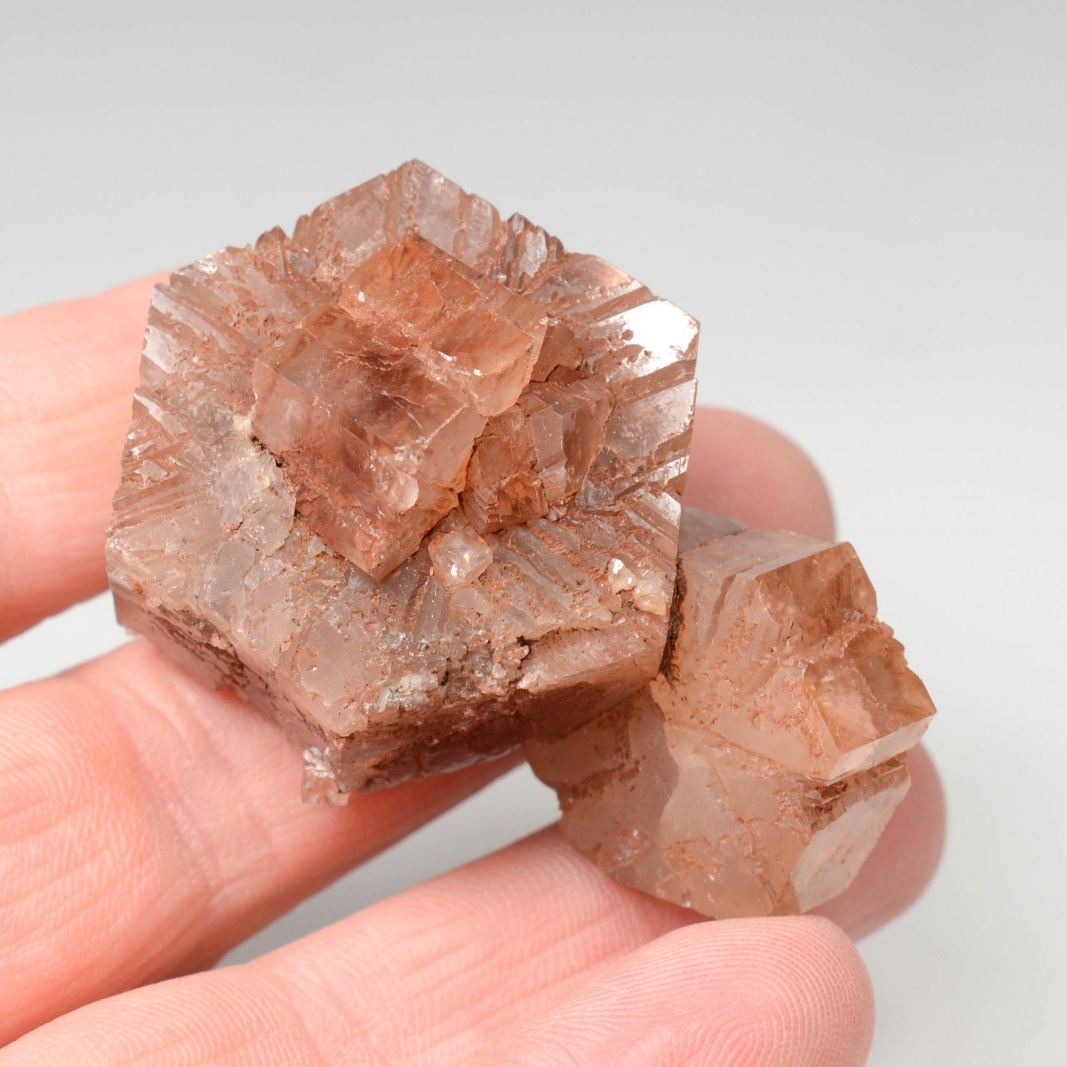 Aragonite - Minglanilla, province de Cuenca, Espagne
