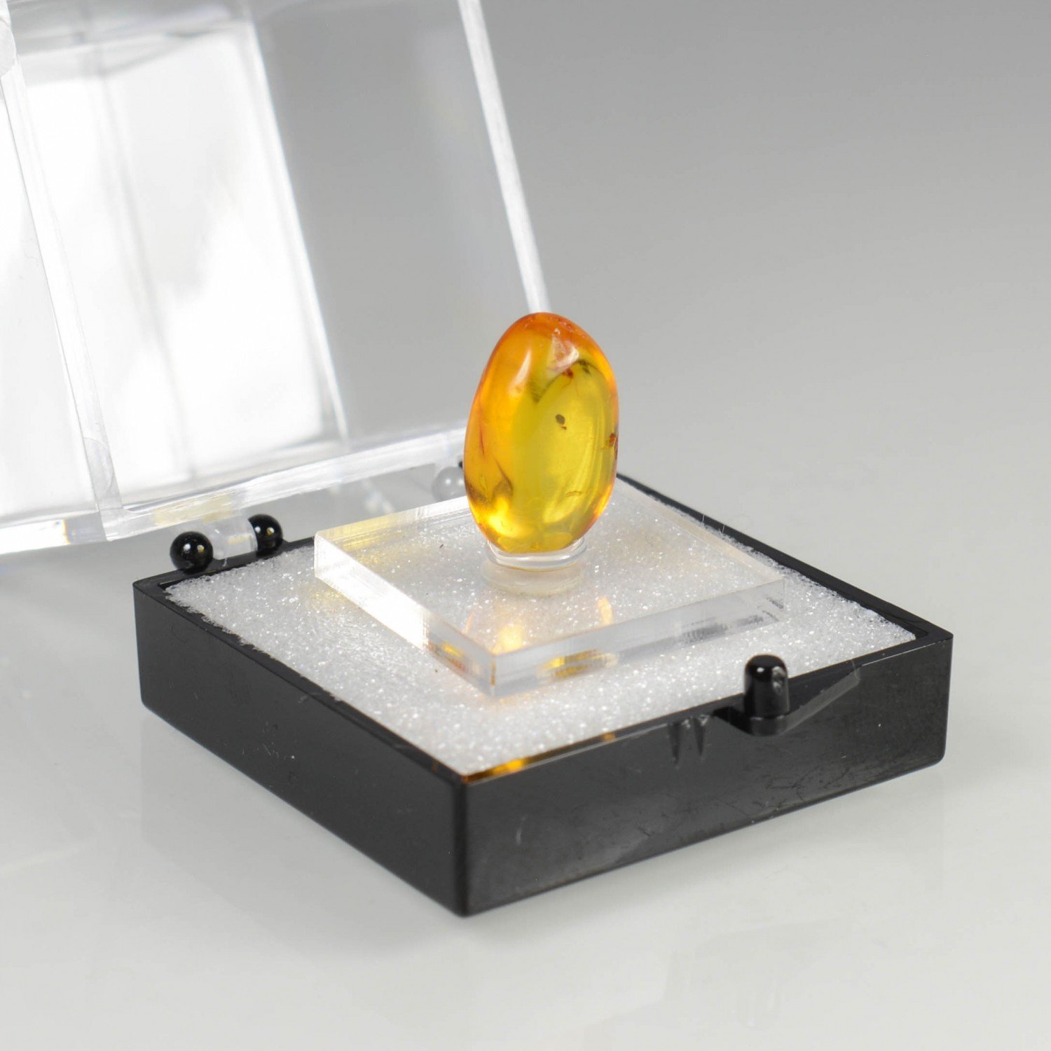 Baltic amber with insect