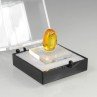 Baltic amber with insect