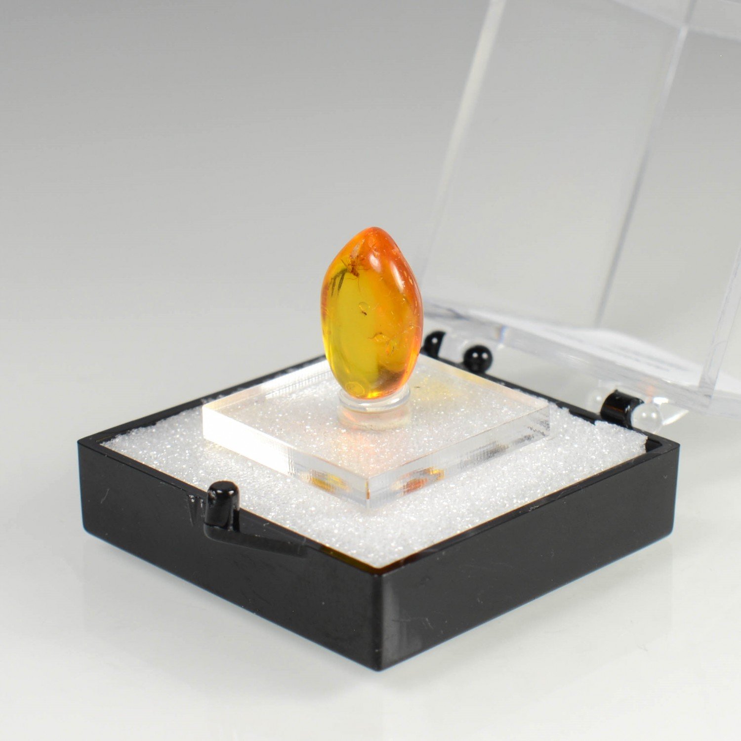 Baltic amber with insect