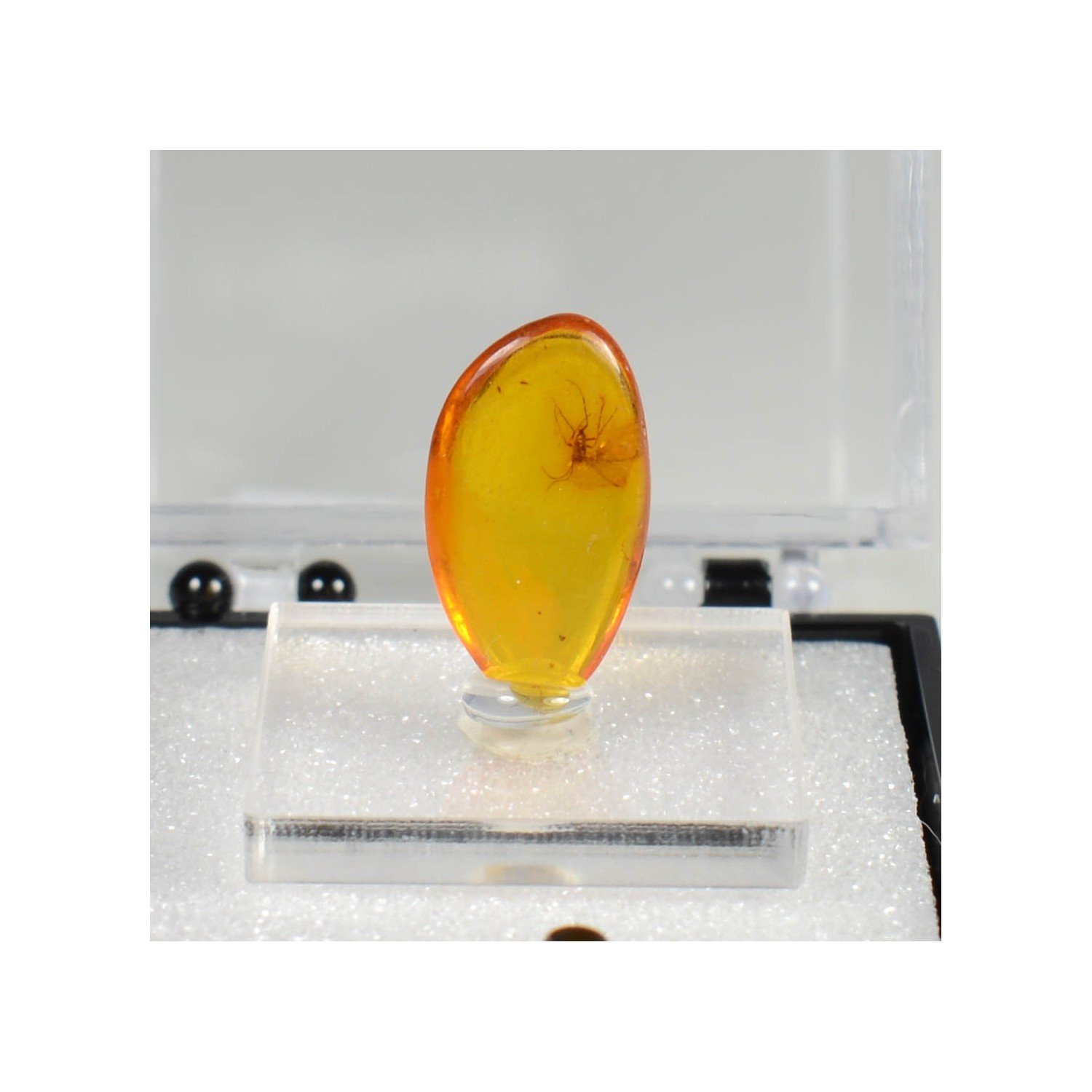 Baltic amber with insect Baltic amber with insect