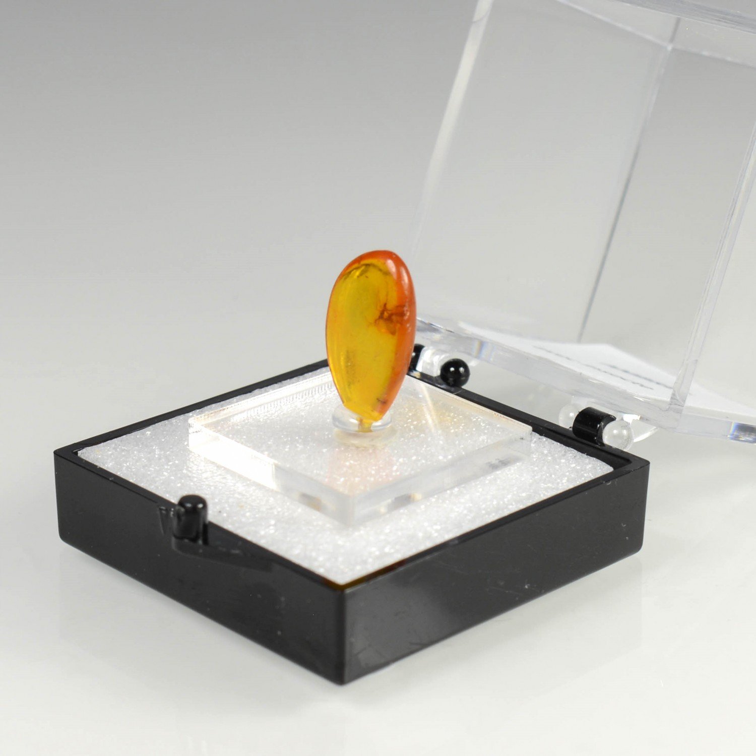 Ambre de la Baltique avec insecte Ambre de la Baltique avec insecte