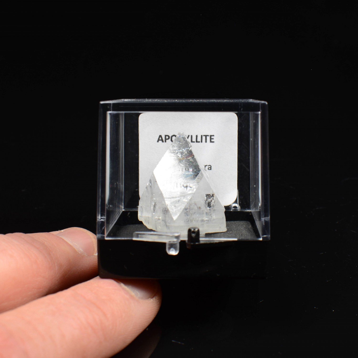 Apophyllite - Maharashtra, Inde Apophyllite - Maharashtra, Inde