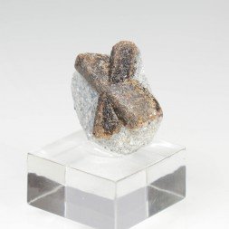 Staurotide - Semiostrovye, Kola Peninsula, Russia