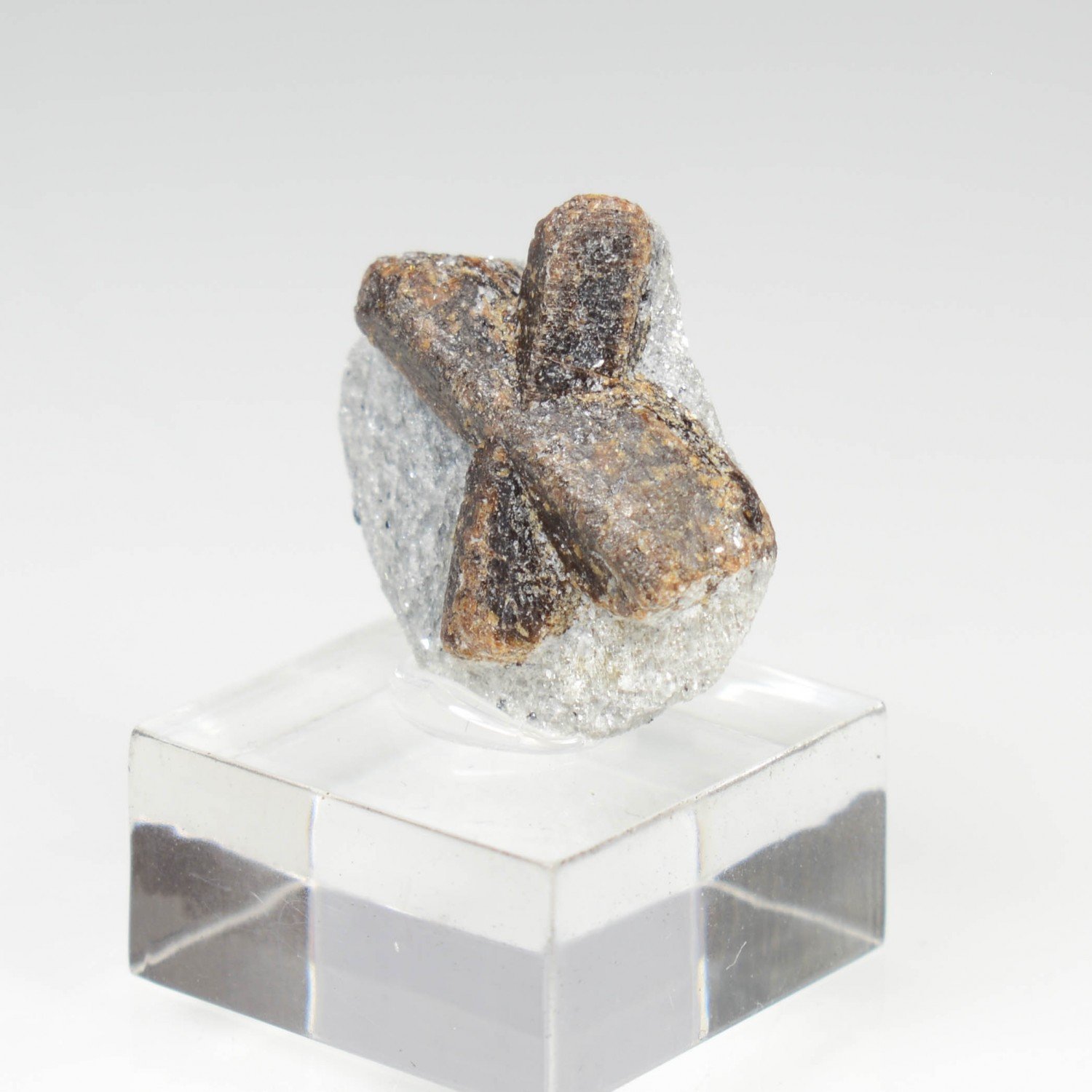 Staurotide - Semiostrovye, Kola Peninsula, Russia