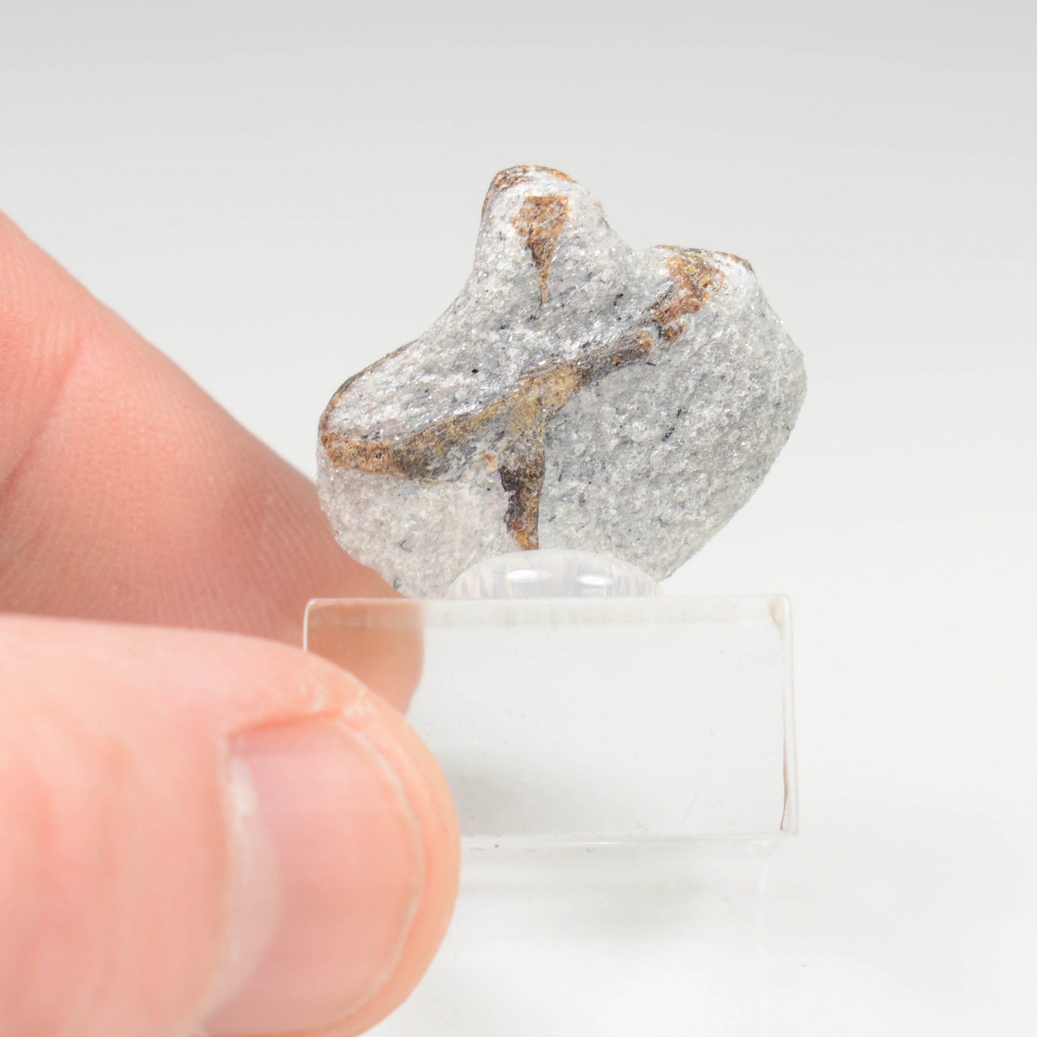 Staurotide - Semiostrovye, Kola Peninsula, Russia