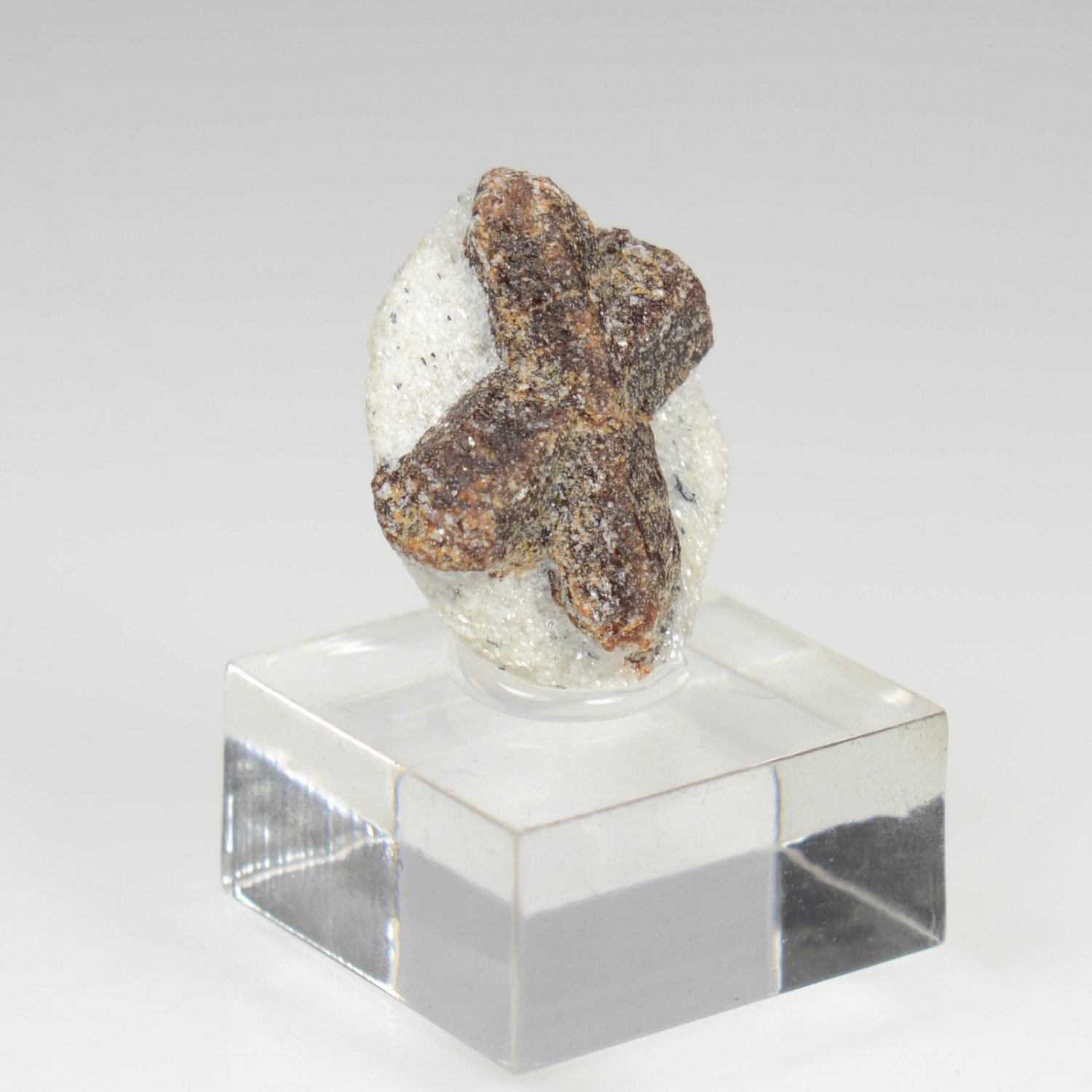 Staurotide - Semiostrovye, Kola Peninsula, Russia