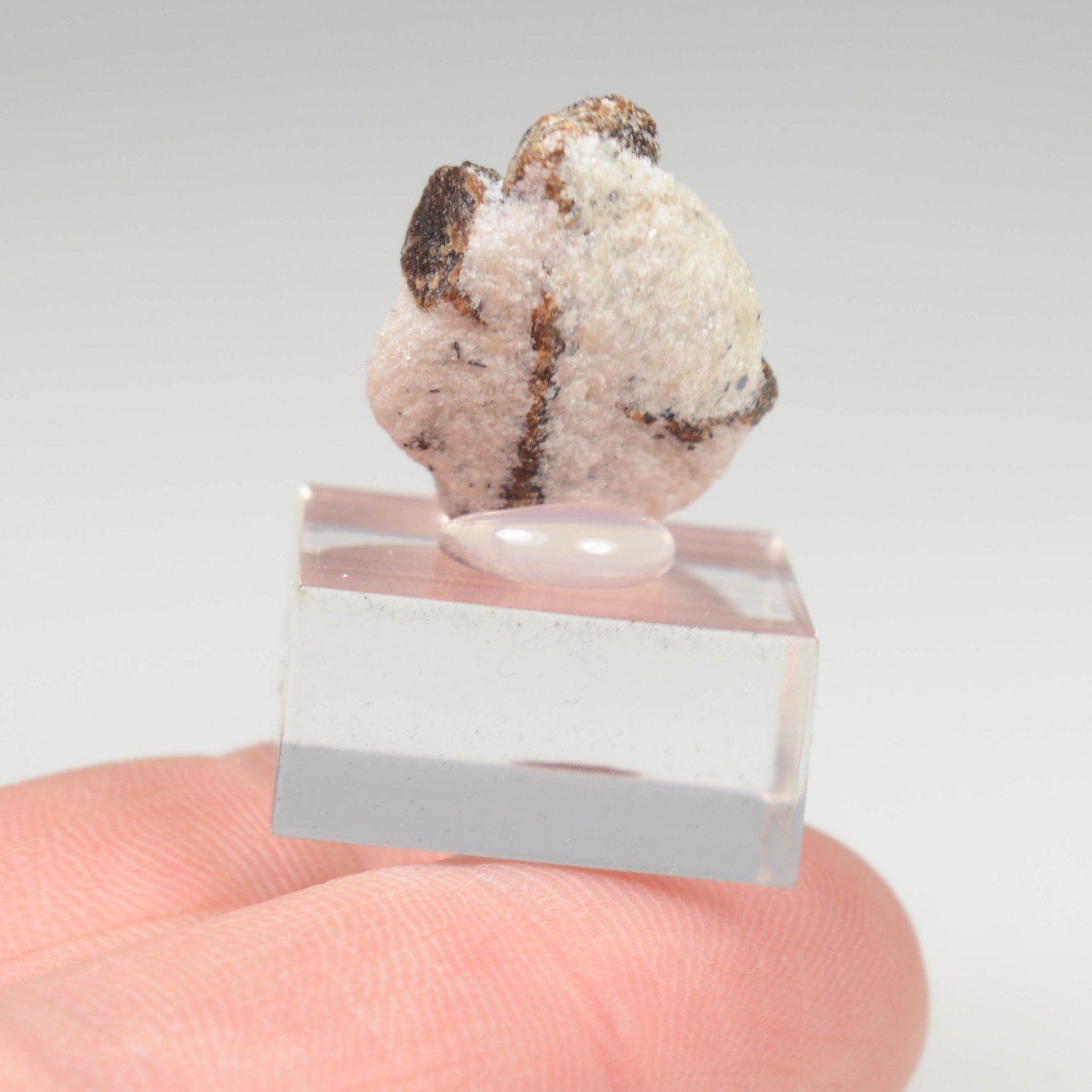 Staurotide - Semiostrovye, Kola Peninsula, Russia