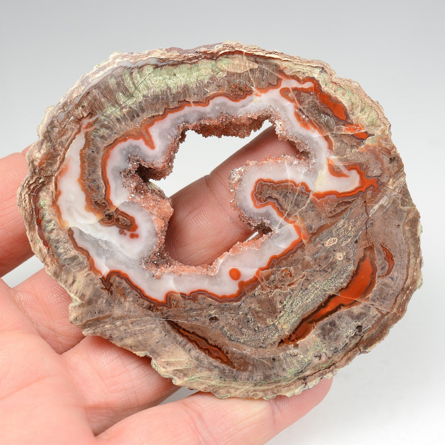 Lithophyse - Esterel, Var, France