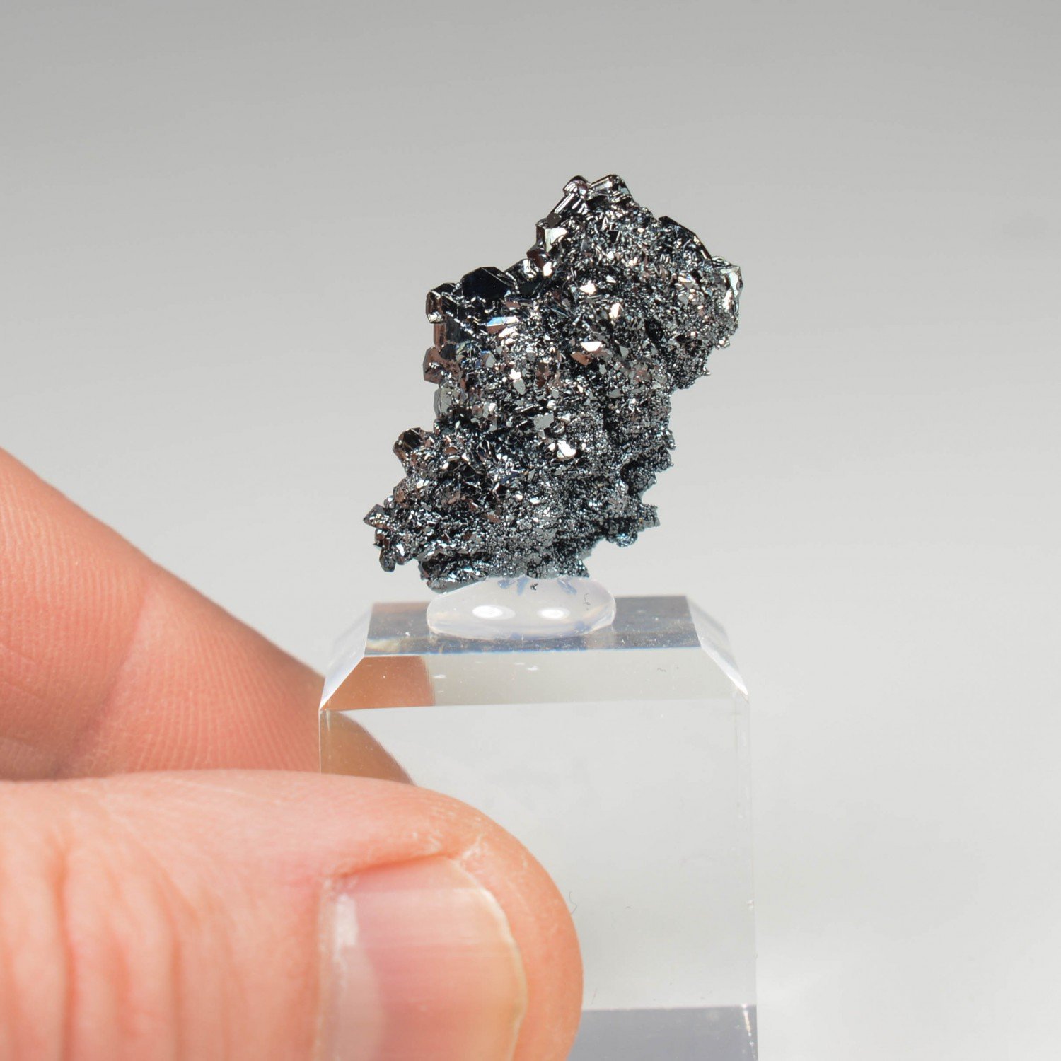 Hematite - Puy-de-Tunisset, Puy-de-Dôme, France