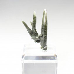 Chlorite quartz - Ganesh Himal, Nepal