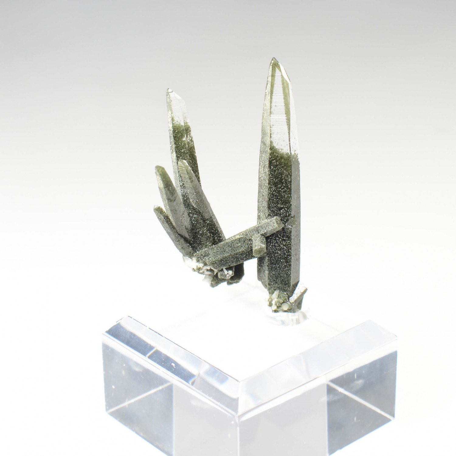 Quartz chloriteux - Ganesh Himal, Népal Quartz chloriteux - Ganesh Himal, Népal