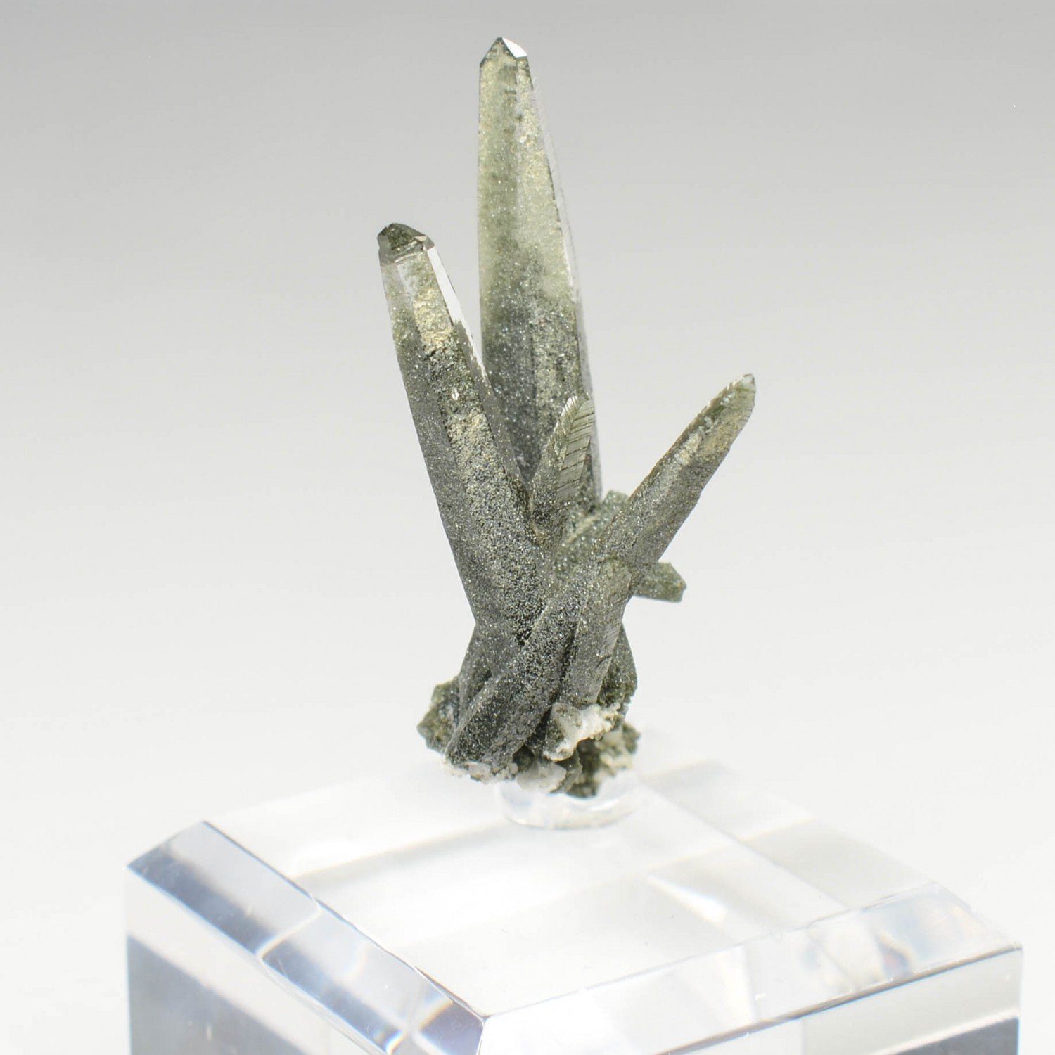 Quartz chloriteux - Ganesh Himal, Népal Quartz chloriteux - Ganesh Himal, Népal