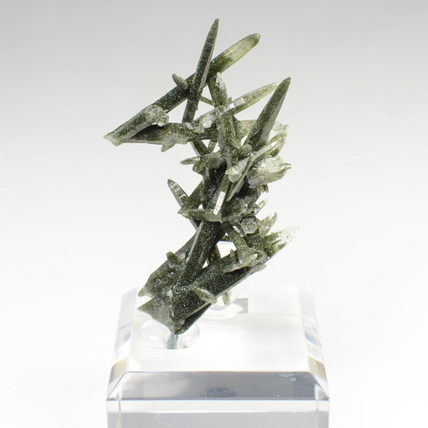 Quartz chloriteux - Ganesh Himal, Népal Quartz chloriteux - Ganesh Himal, Népal