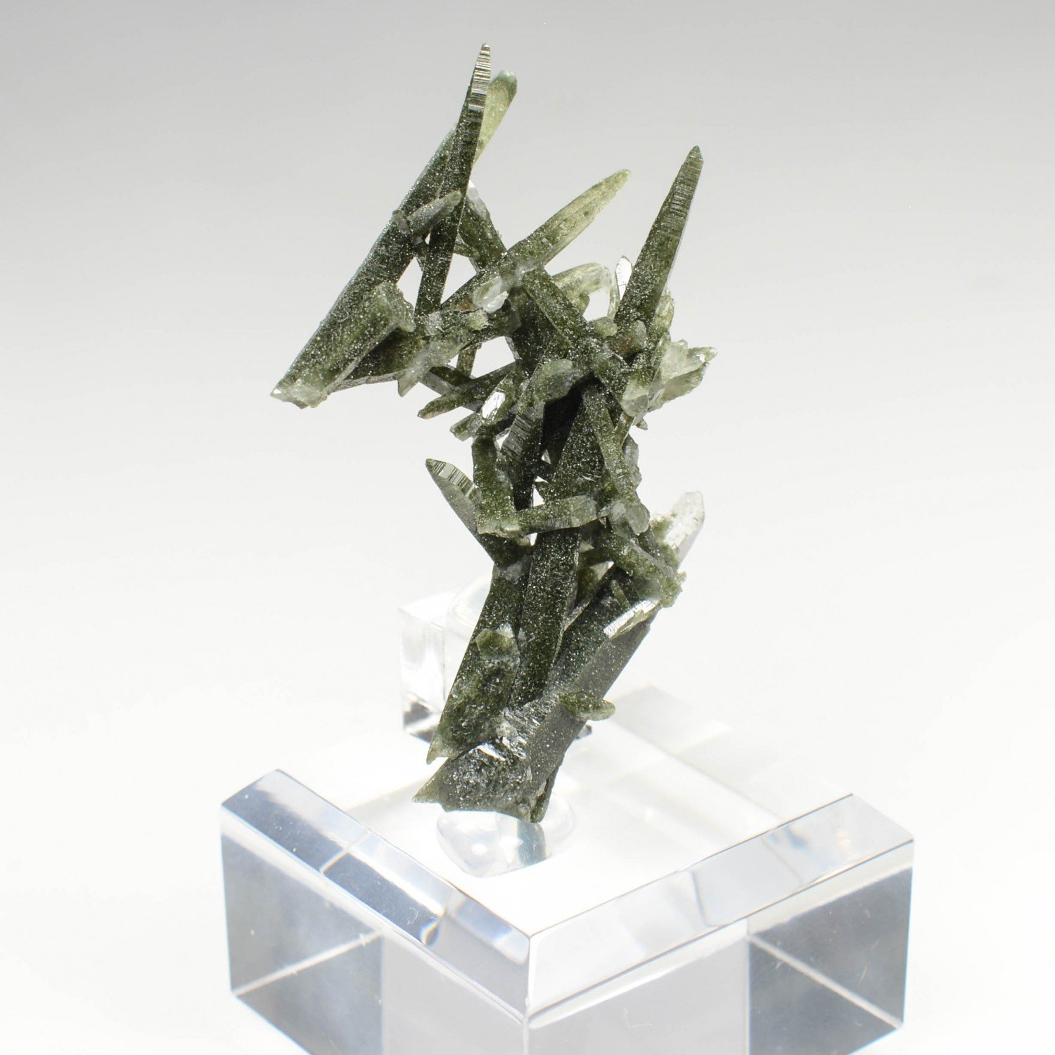 Quartz chloriteux - Ganesh Himal, Népal Quartz chloriteux - Ganesh Himal, Népal