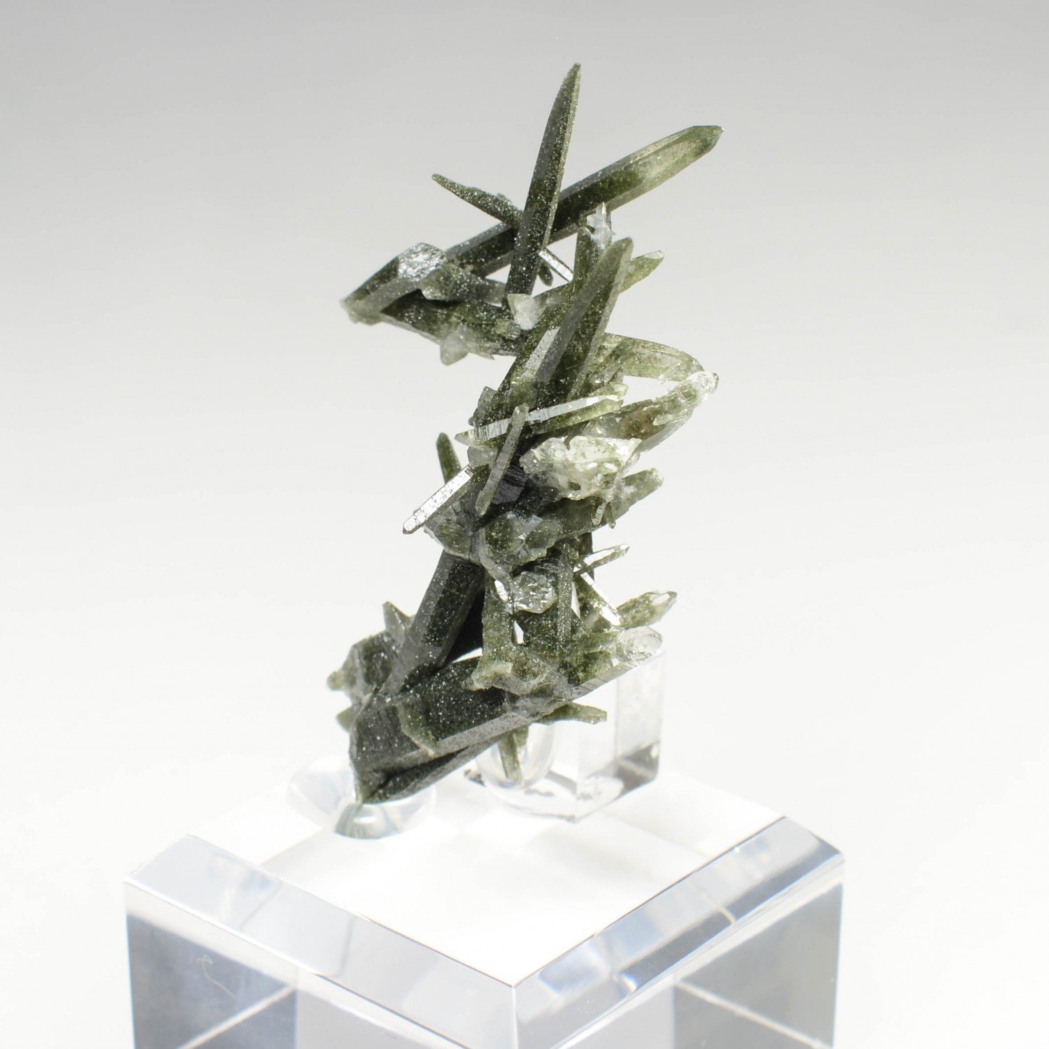 Quartz chloriteux - Ganesh Himal, Népal Quartz chloriteux - Ganesh Himal, Népal