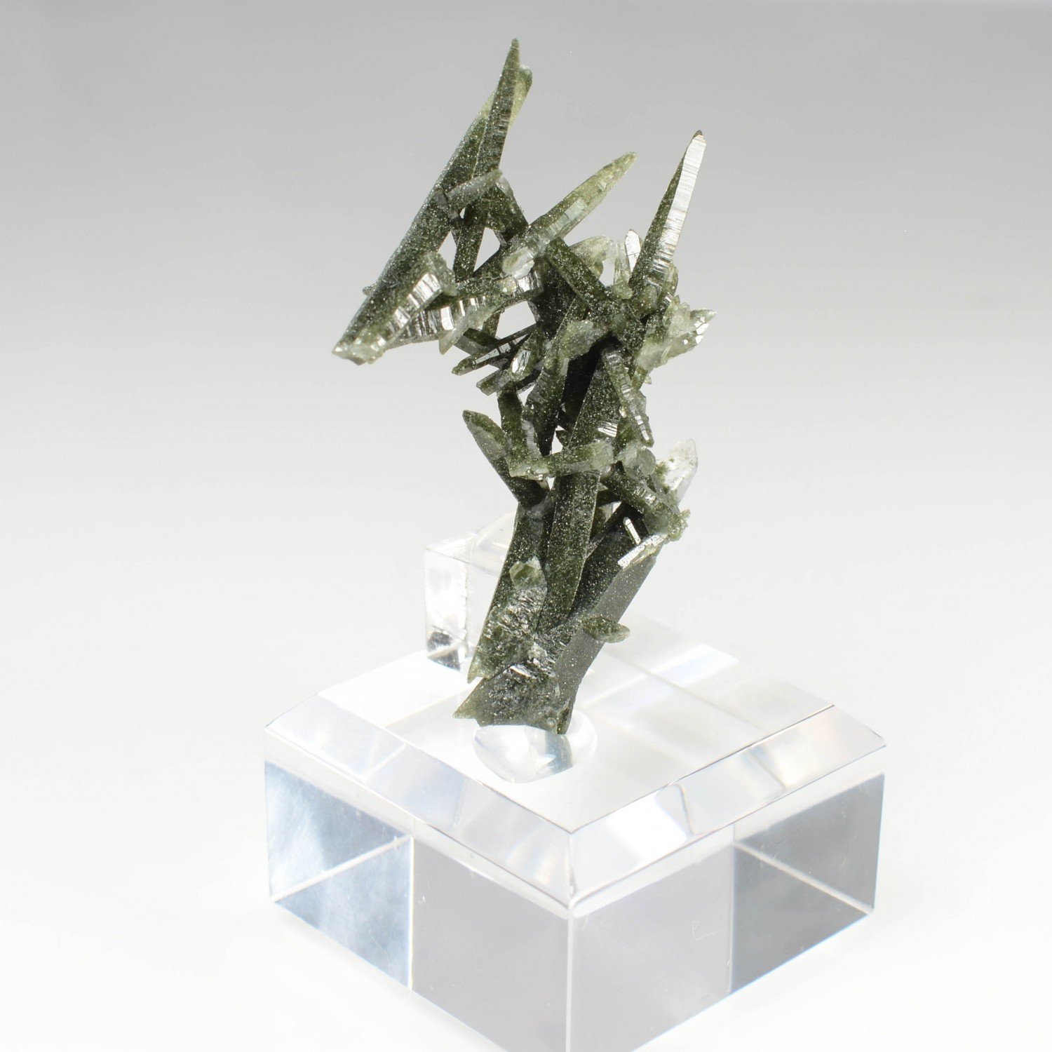 Quartz chloriteux - Ganesh Himal, Népal Quartz chloriteux - Ganesh Himal, Népal