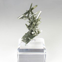 Quartz chloriteux - Ganesh Himal, Népal