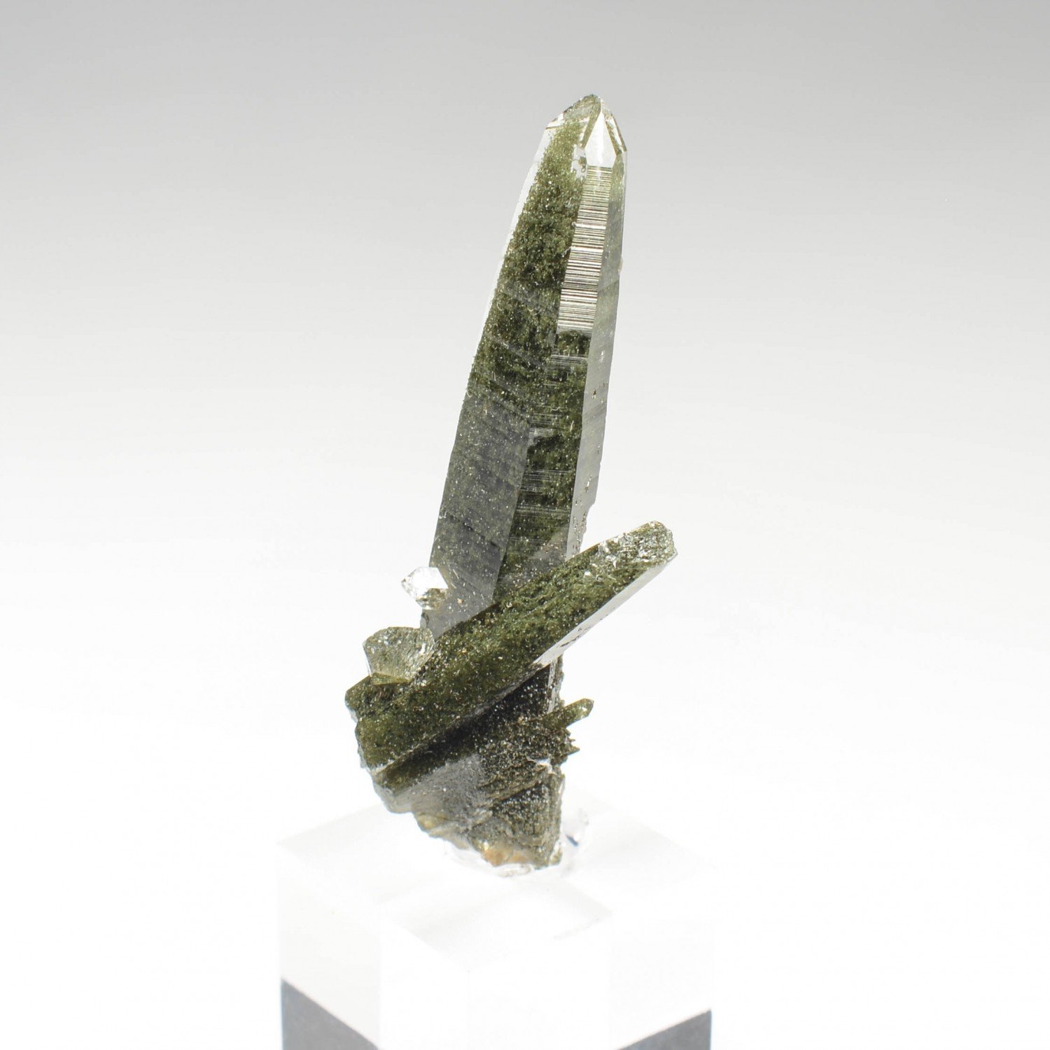 Quartz chloriteux - Ganesh Himal, Népal