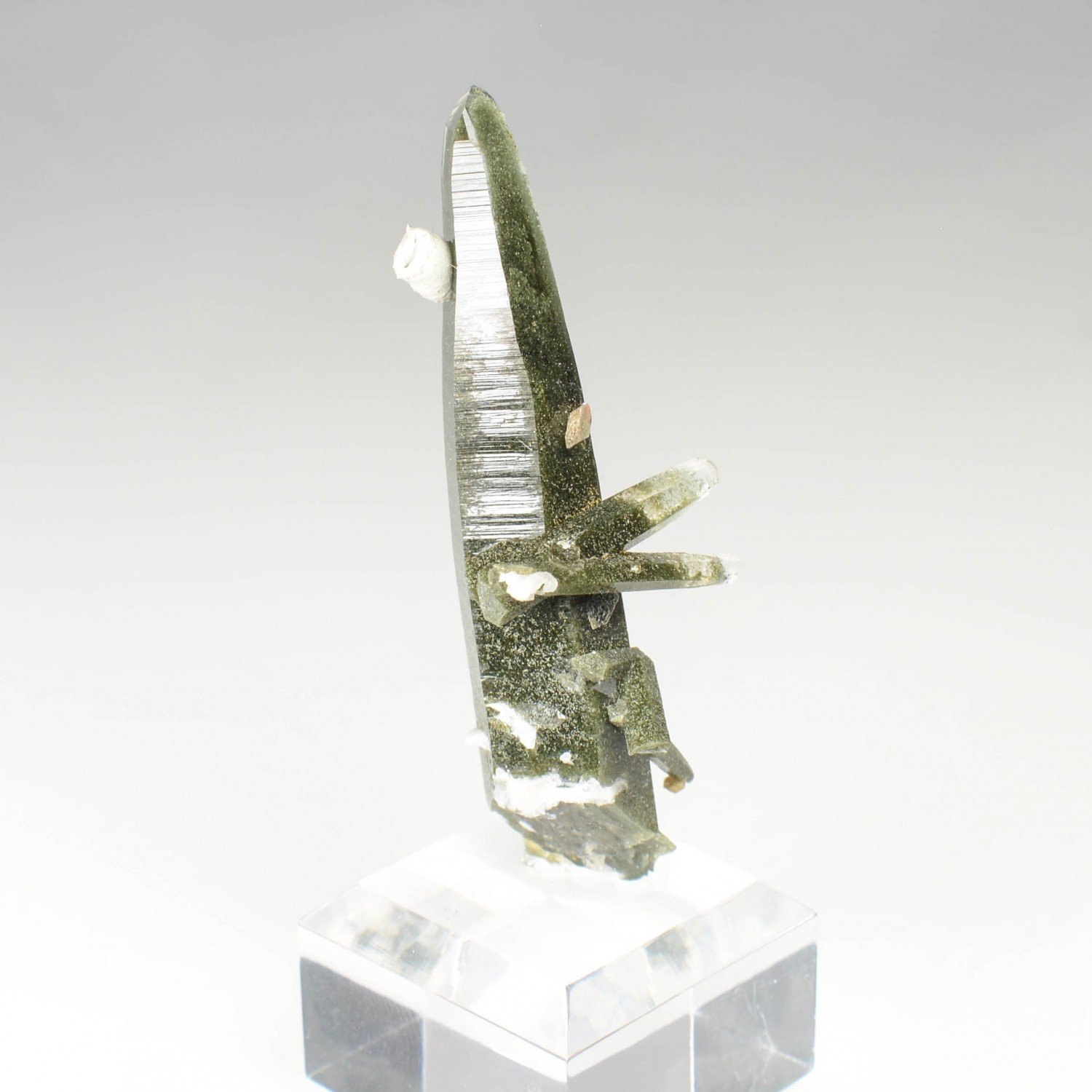 Quartz chloriteux - Ganesh Himal, Népal