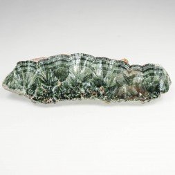 Seraphinite - Korshunovskoye Mine, Siberia, Russia