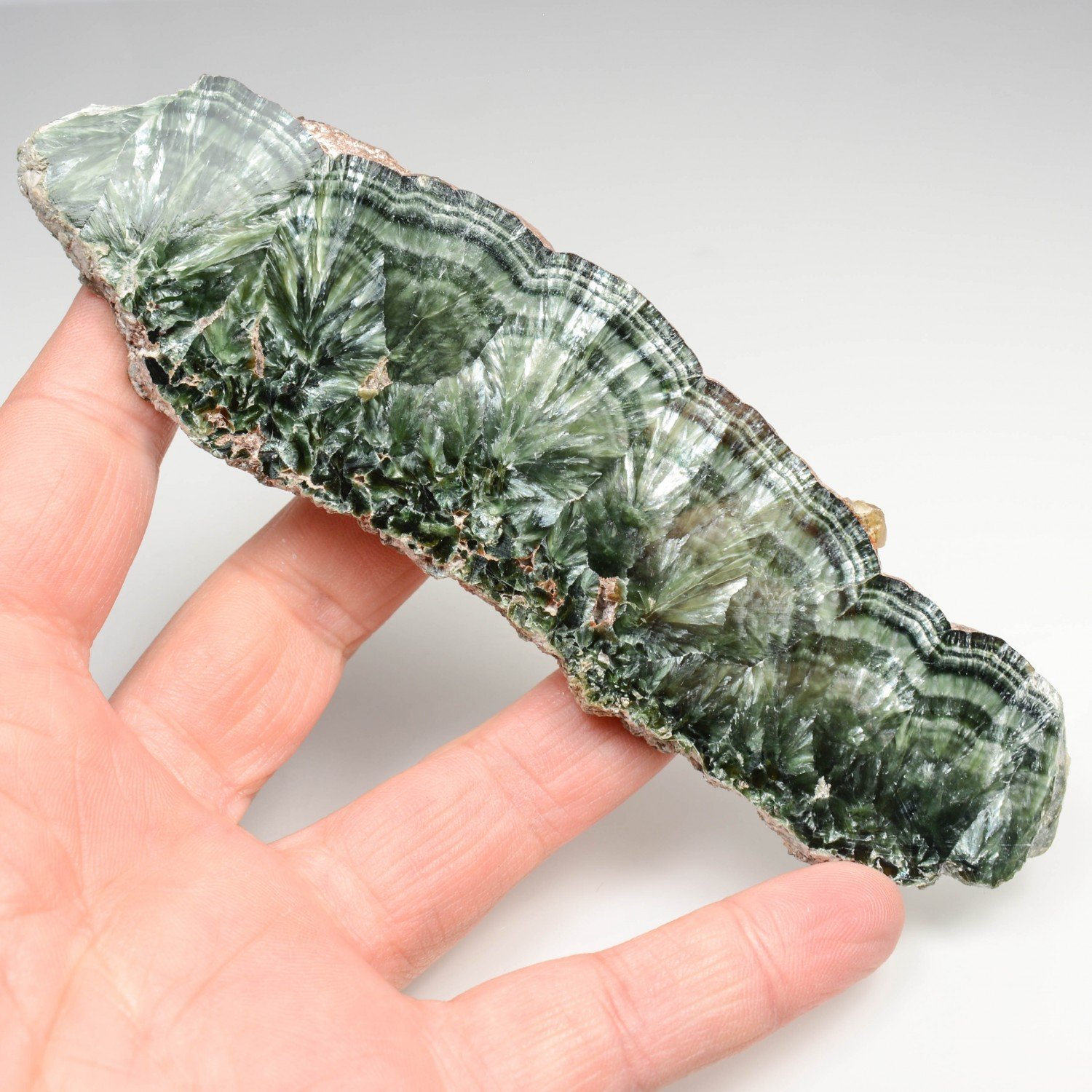 Seraphinite - Korshunovskoye Mine, Siberia, Russia