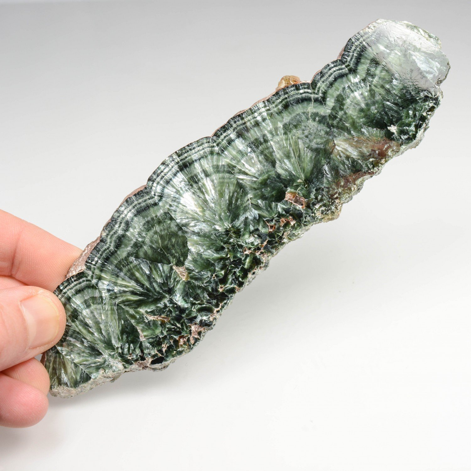 Séraphinite - Mine Korshunovskoye, Sibérie, Russie