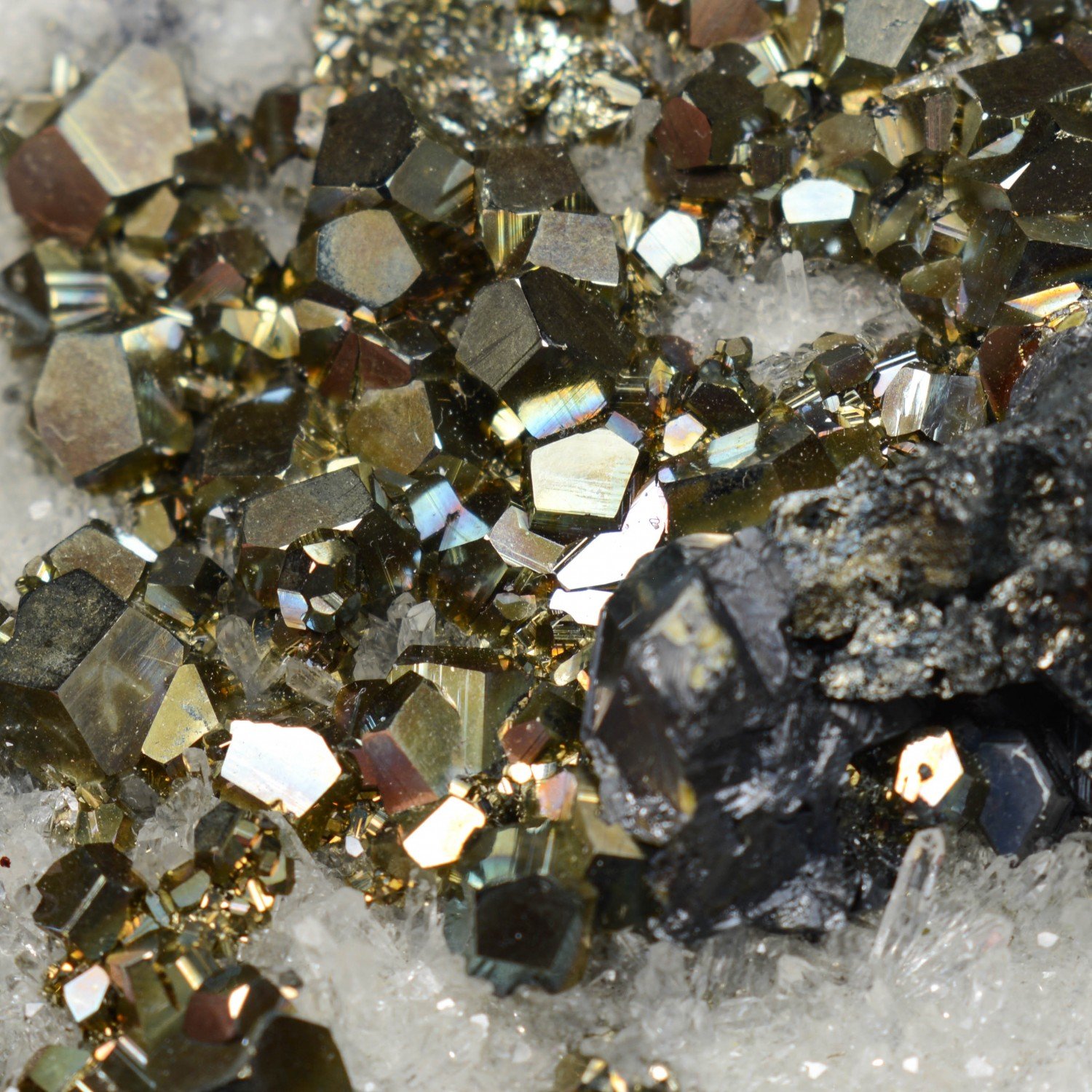 Pyrite, quartz et galène - Kalimantan, Indonésie Pyrite, quartz et galène - Kalimantan, Indonésie