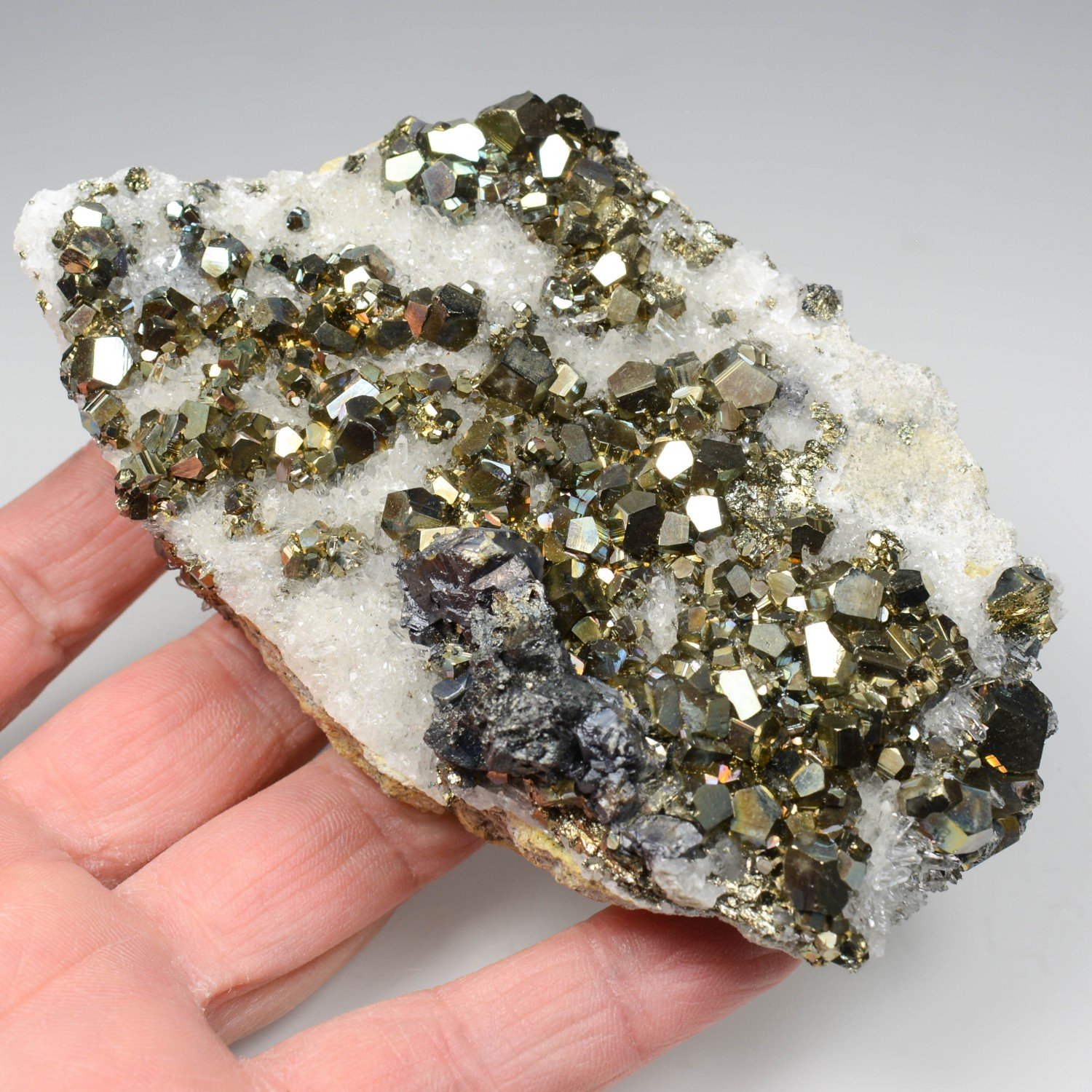 Pyrite, quartz et galène - Kalimantan, Indonésie Pyrite, quartz et galène - Kalimantan, Indonésie
