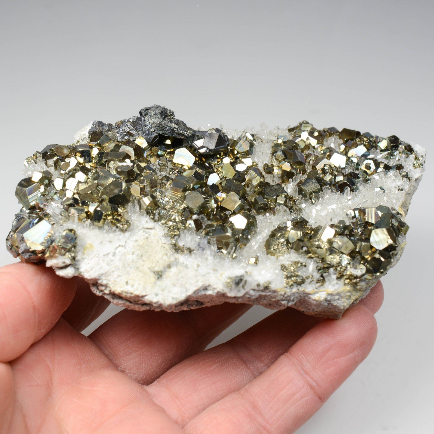 Pyrite, quartz et galène - Kalimantan, Indonésie Pyrite, quartz et galène - Kalimantan, Indonésie