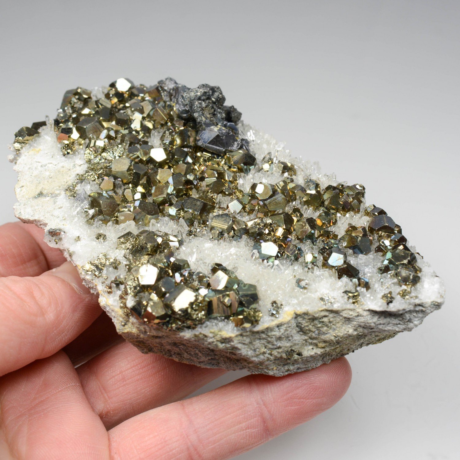 Pyrite, quartz et galène - Kalimantan, Indonésie Pyrite, quartz et galène - Kalimantan, Indonésie