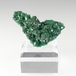 Dioptase - Brazzaville, Republic of Congo