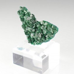 Dioptase - Brazzaville, Republic of Congo