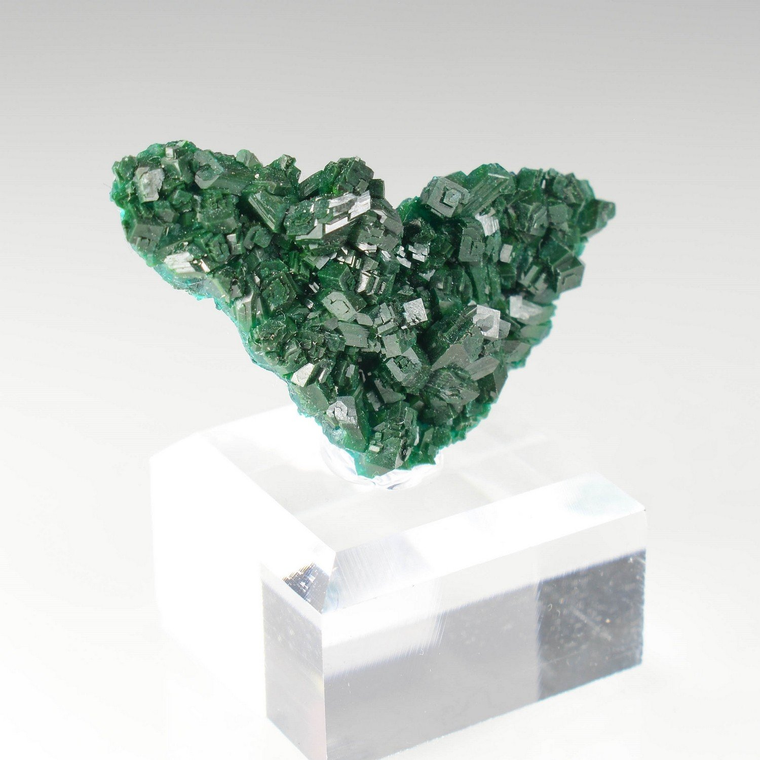 Dioptase - Brazzaville, Republic of Congo