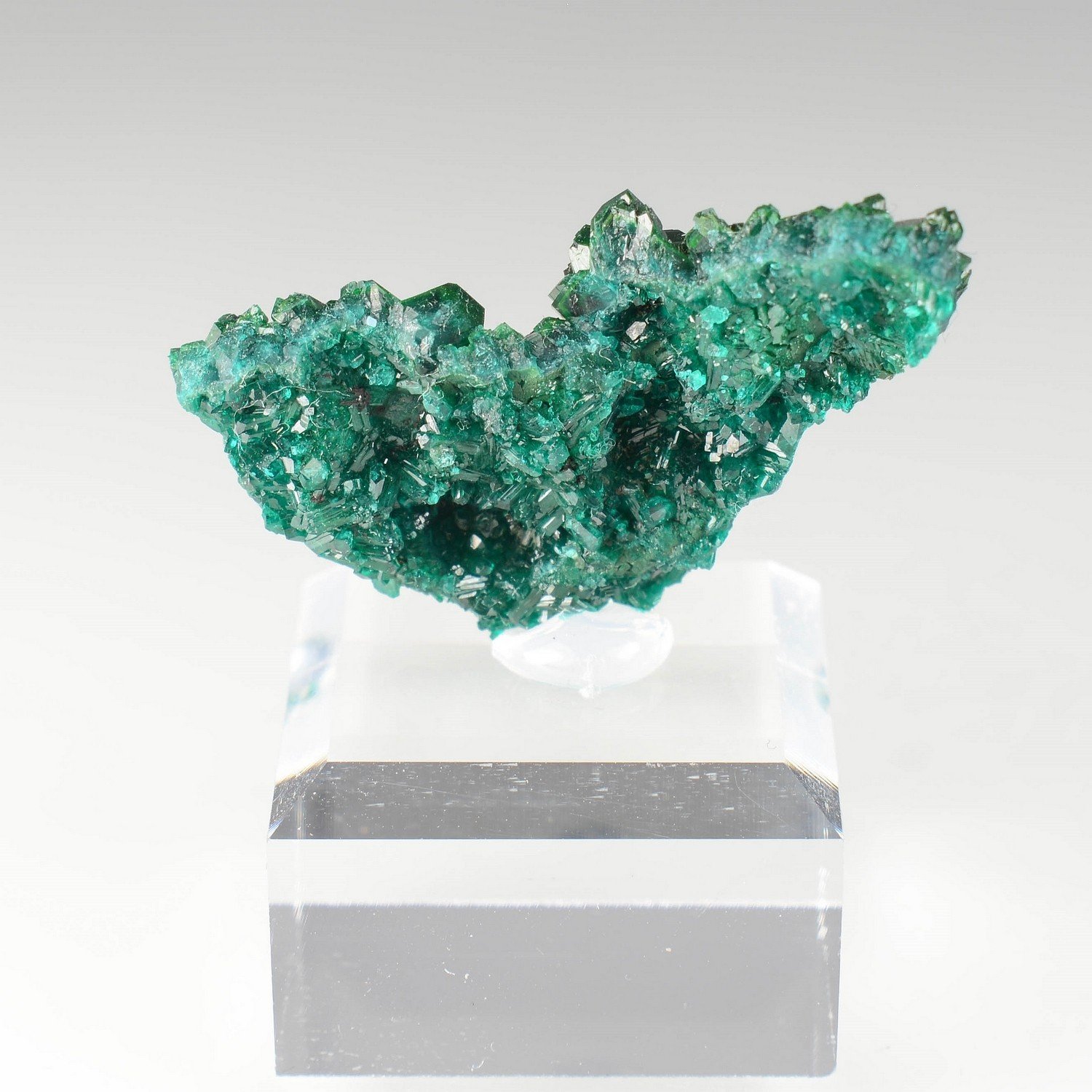 Dioptase - Brazzaville, Republic of Congo