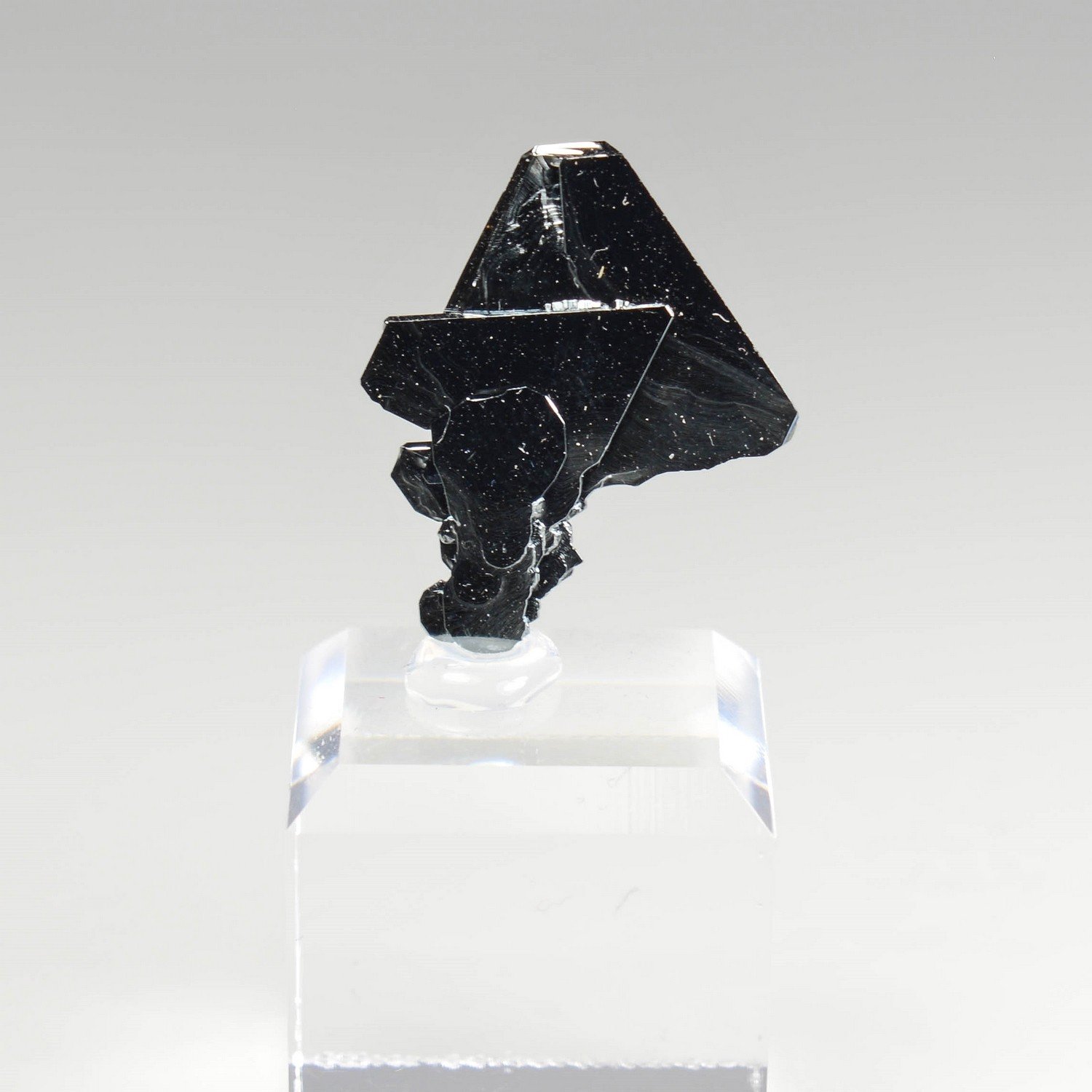 Hématite - Puy-de-Tunisset, Puy-de-Dôme, France Hématite - Puy-de-Tunisset, Puy-de-Dôme, France