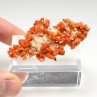 Wulfenite - Jianshan Mine, Xinjiang Region, China