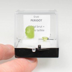 PERIDOT Duo - cut stone and crystallised stone