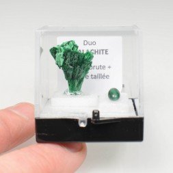 MALACHITE Duo - cut stone and crystallised stone