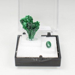 MALACHITE Duo - cut stone and crystallised stone