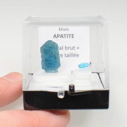 APATITE Duo - cut stone and crystallised stone
